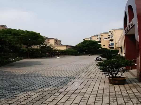 深圳积分入户2025年积分政策_陈梦与演员任嘉伦一起打乒乓球，两人系发小+队友 嘉定第一福利院社会